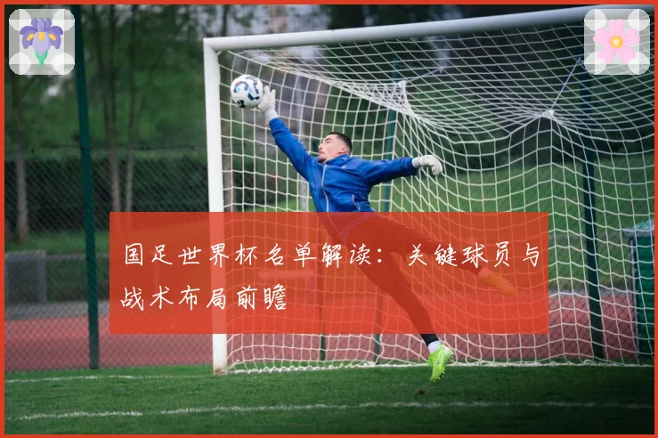 国足世界杯名单解读：关键球员与战术布局前瞻