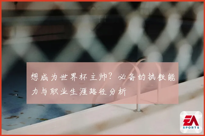 想成为世界杯主帅？必备的执教能力与职业生涯路径分析