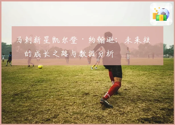 马刺新星凯尔登·约翰逊：未来核心的成长之路与数据分析